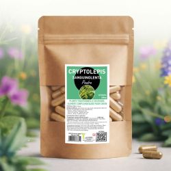 CRYPTOLEPIS sanguinolenta poudre |  Au meilleur prix