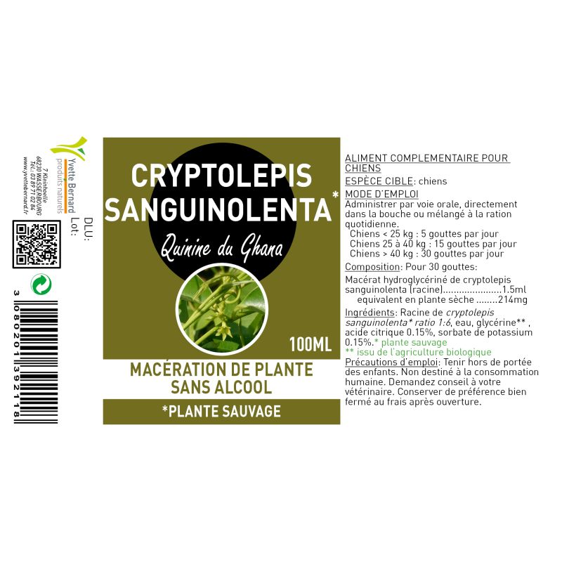 Cryptolepis sanguinolenta | QUININE du Guana | Au meilleur prix
