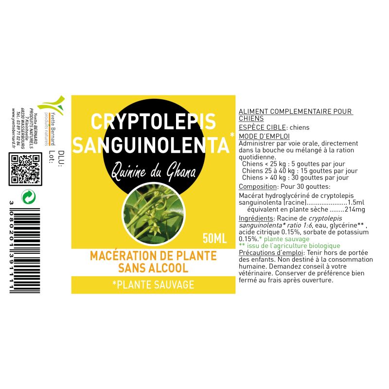 CRYPTOLEPIS SANGUINOLENTA | QUININE du Guana | Disponible ici