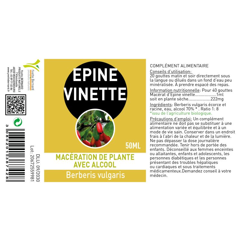 Epine Vinette extrait | au MEILLEUR PRIX| Bienfaits et posologie