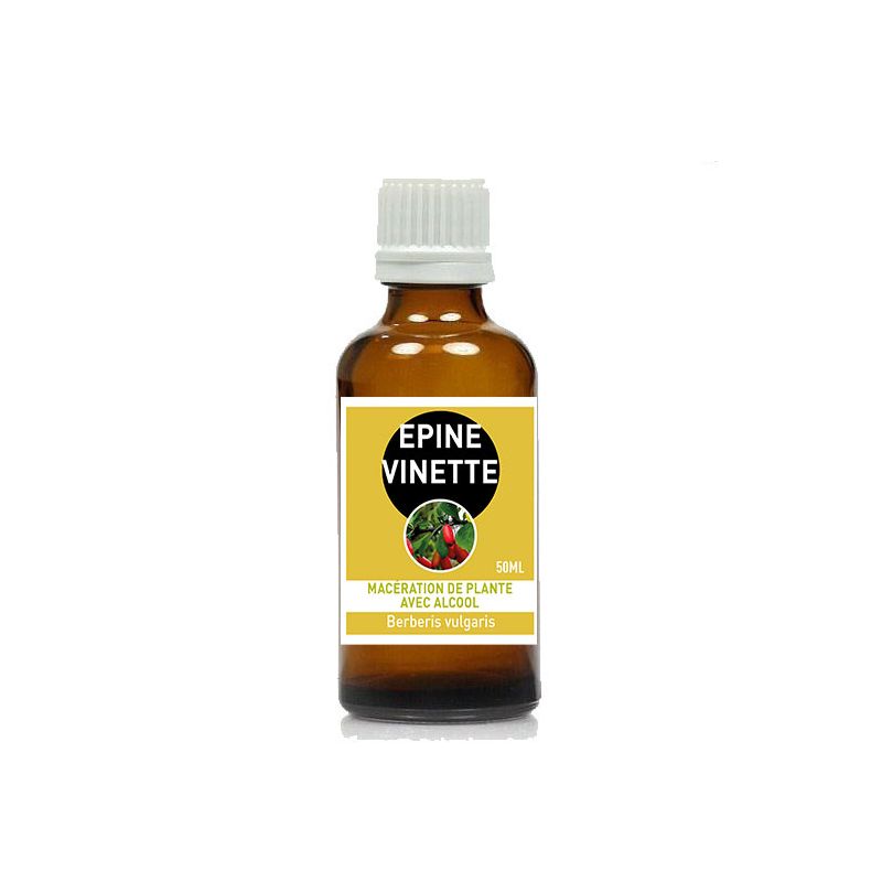 EPINE VINETTE EXTRAIT 50ML - BERBERIS VULGARIS - Santerel