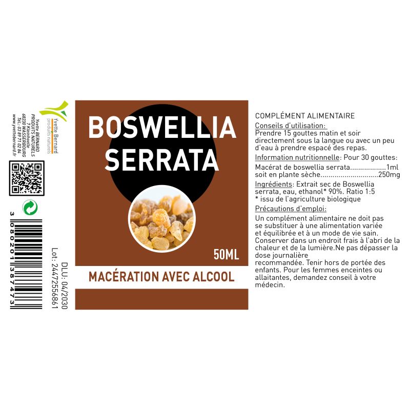 BOSWELLIA SERRATA Extrait | Bienfaits et utilisations | Au meilleur prix