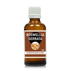 BOSWELLIA SERRATA Macérat avec alcool 50ml - Santerel