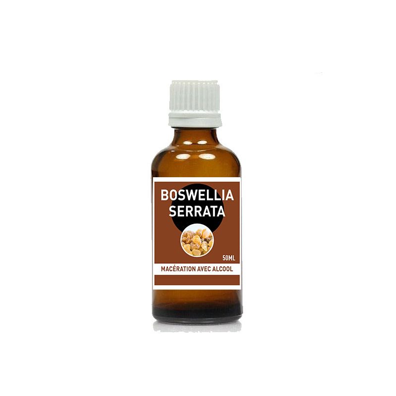 BOSWELLIA SERRATA Macérat avec alcool 50ml - Santerel