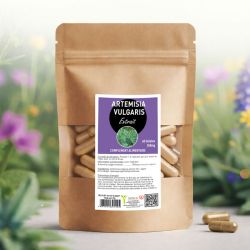 ARTEMISIA VULGARIS| Bienfaits et utilisations | Au meilleur prix
