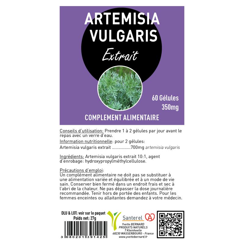 ARTEMISIA VULGARIS| Bienfaits et utilisations | Au meilleur prix