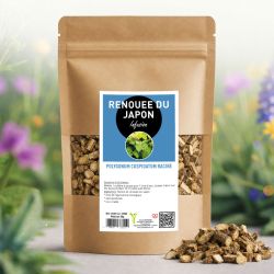 Infusion RENOUEE DU JAPON* racine - 50g - POLYGONUM CUSPIDATUM *Issu de l'agriculture biologique