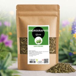 ANDROGRAPHIS 50g - andrographis paniculata