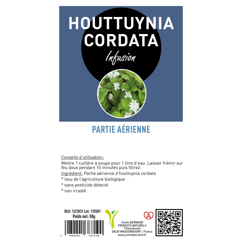 Infusion HOUTTUYNIA cordata |AU MEILLEUR PRIX| Bienfaits et posologie