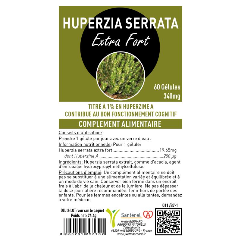 Huperzia Serrata : mémoire, concentration et fonctions cognitives