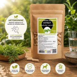 ARTEMISIA ANNUA  Extrait concentré standardisé titré en Artemisinine  - 60 gélules 400mg - Forte concentration