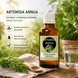 ARTEMISIA ANNUA 100ml - Macération SANS ALCOOL