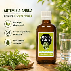 ARTEMISIA ANNUA* 100ml AVEC ALCOOL macération de plante fraiche  - origine Europe - *issu de l'agriculture biologique