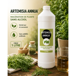 ARTEMISIA ANNUA 1 LITRE - Macération SANS ALCOOL