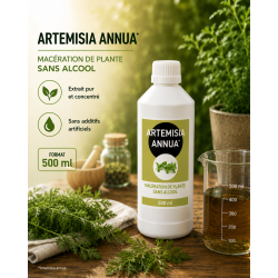 ARTEMISIA ANNUA 500ml - Macération SANS ALCOOL