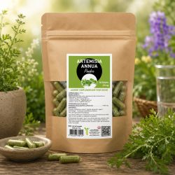 ARTEMISIA ANNUA 60 gélules 250mg - poudre de plante