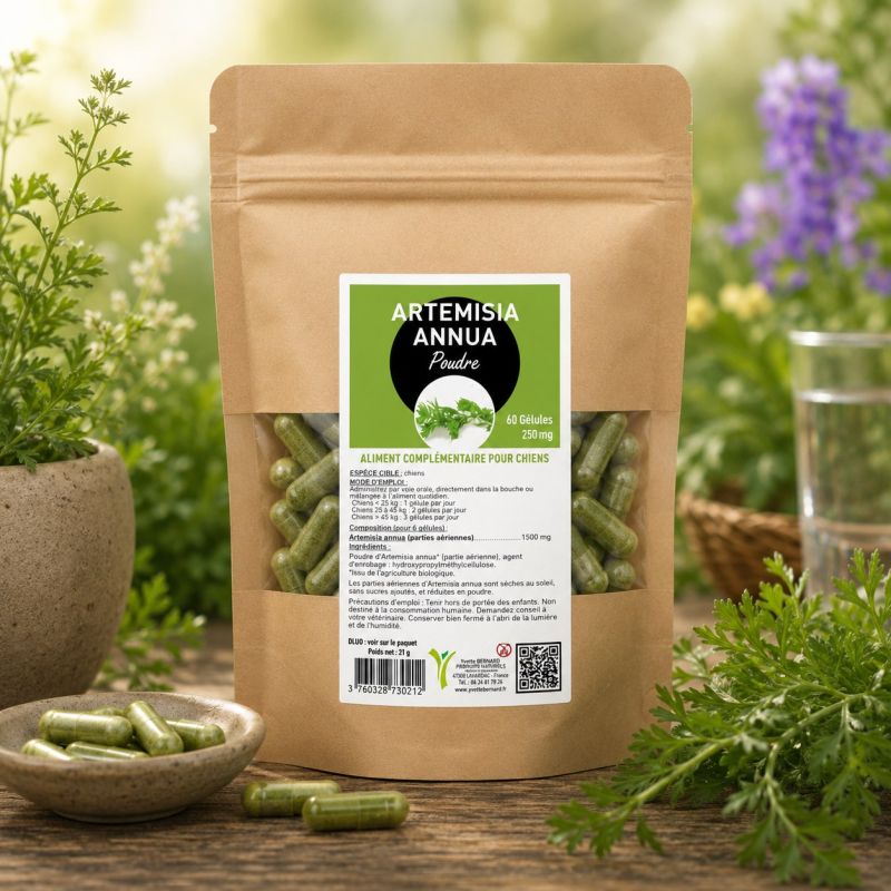ARTEMISIA ANNUA 60 gélules 250mg - poudre de plante