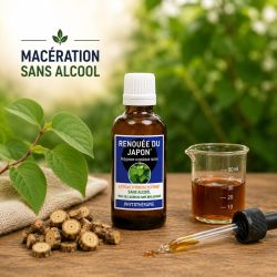 RENOUEE DU JAPON* 50ML Macération de plante  SANS ALCOOL - * issu de l'agriculture biologique -SANTEREL
