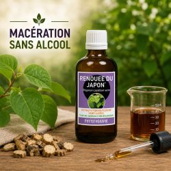 RENOUEE DU JAPON* 100ml macération de plante SANS ALCOOL - * issu de l'agriculture biologique - SANTEREL
