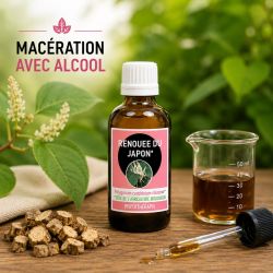 RENOUEE DU JAPON* 50ml macération de plante AVEC ALCOOL -  * issu de l'agriculture biologique