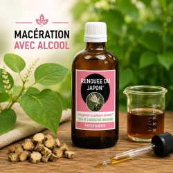 RENOUEE DU JAPON* 100ML Macération de plante AVEC ALCOOL - * issu de l'agriculture biologique