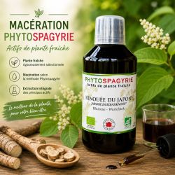 RENOUEE DU JAPON CONCENTRE SPAGYRISE * - 300ML - *issu de l'agriculture biologique