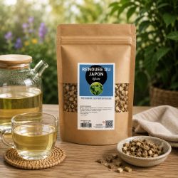 Renouée du Japon infusion | Bienfaits et utilisation | Au meilleur prix