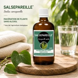 SALSEPAREILLE* macération SANS ALCOOL 100ml - * sans pesticide SANTEREL