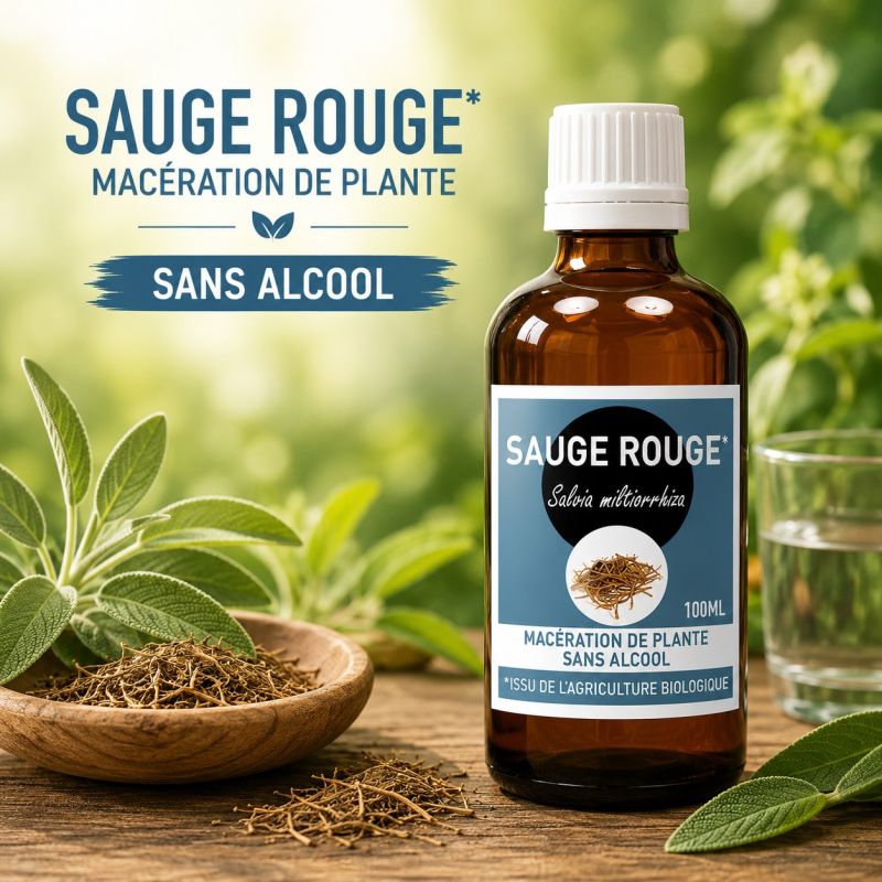 SAUGE ROUGE* MACERATION SANS ALCOOL 100ML Salvia miltiorrhiza- SANTEREL