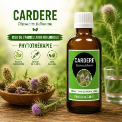 CARDERE  100ml  - macération AVEC ALCOOL  issu de l'agriculture biologique - Santerel