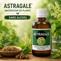 ASTRAGALE* 100ML Macération SANS ALCOOL - Santerel - * Issu de l'agriculture biologique