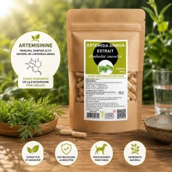 ARTEMISIA ANNUA  Extrait concentré standardisé titré en Artemisinine  - 60 gélules 400mg - Forte concentration