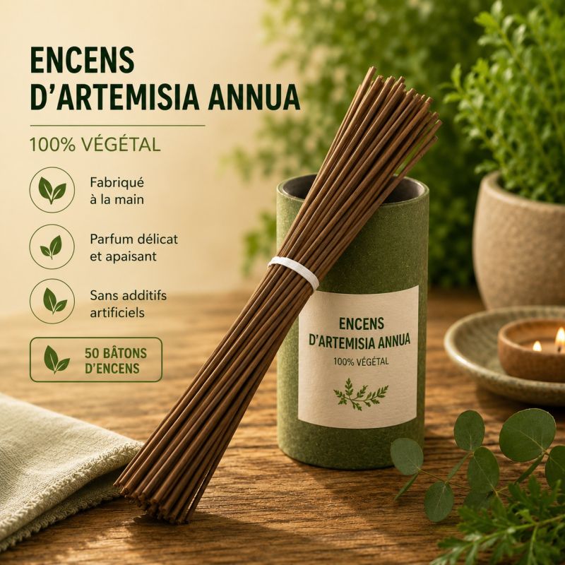 ARTEMISIA ANNUA BATONS D'ENCENS PAR 50 batons en vrac - anti moustique & asceptisant naturel