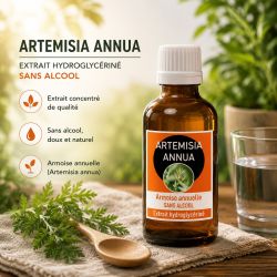 ARTEMISIA ANNUA 50ml - Macération SANS ALCOOL