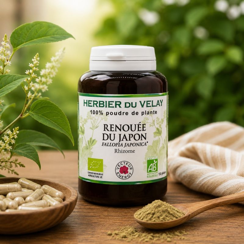 RENOUEE DU JAPON 100% * - 150 gelules 450mg - * issu de l'agriculture biologique -Herbier du Velay Phytoforce