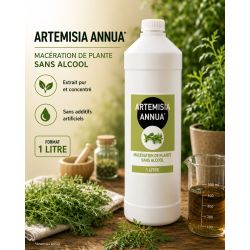ARTEMISIA ANNUA 1 LITRE - Macération SANS ALCOOL