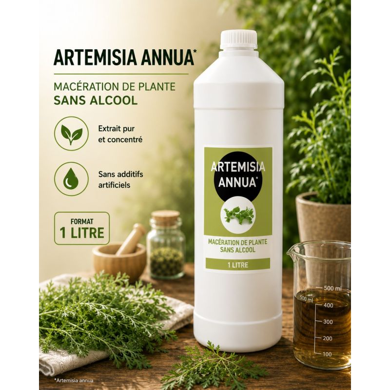ARTEMISIA ANNUA 1 LITRE - Macération SANS ALCOOL