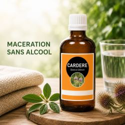 CARDERE 50ml Macération SANS ALCOOL issu de l'agriculture biologique - Dipsacus fullonum - Santerel
