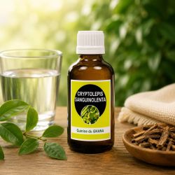 CRYPTOLEPIS SANGUINOLENTA 50ML  Macération de plante SANS ALCOOL - quinine du Ghana