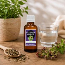 SCROFULAIRE NOUEUSE Extrait de plante fraiche 50ML - SCROPHULARIA NODOSA
