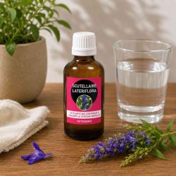 SCUTELLAIRE LATERIFLORA teinture mère 100ML - Santerel