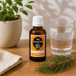 PIN SYLVESTRE 50ML macération SANS ALCOOL - SANTEREL