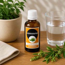 ANDROGRAPHIS 50ML macération  AVEC ALCOOL  - SANTEREL