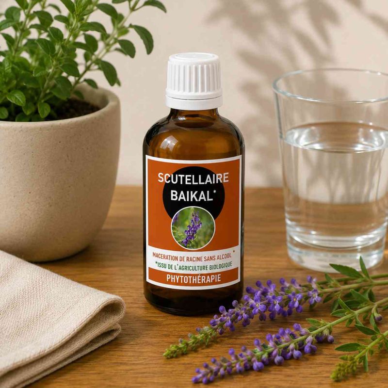 SCUTELLAIRE BAIKAL* 100ML macération de plante SANS ALCOOL - HUANG QIN  * issu de l'agriculture biologique