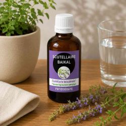 SCUTELLAIRE BAIKAL 100ML macération de plante AVEC ALCOOL  - HUANG QIN