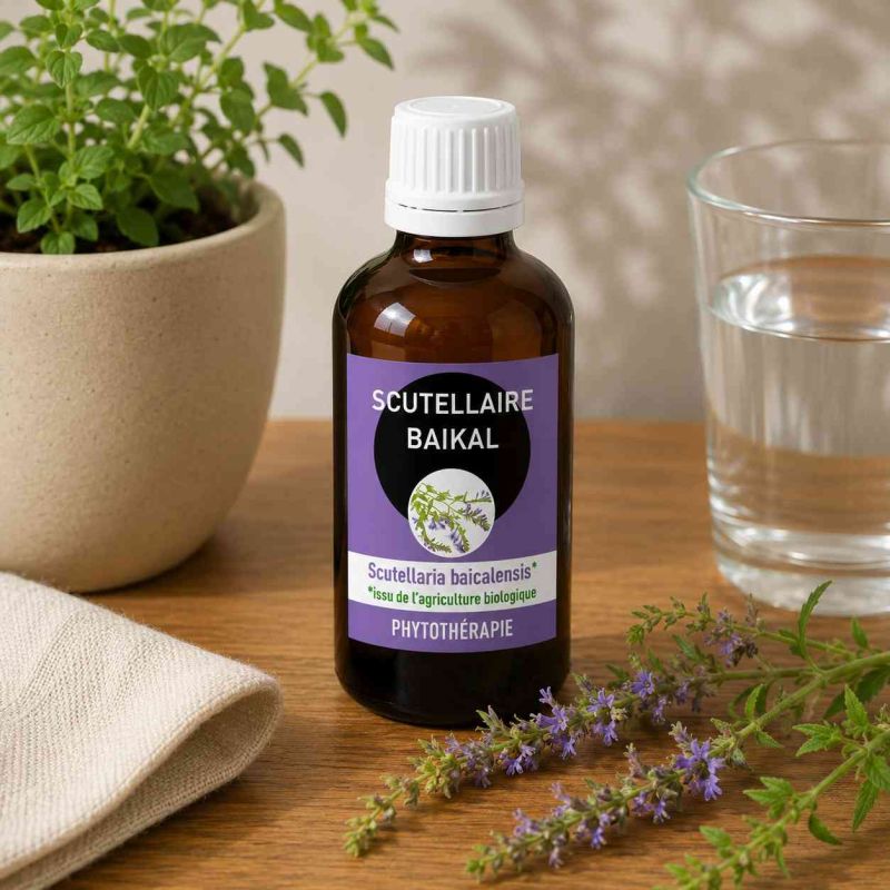 SCUTELLAIRE BAIKAL 100ML macération de plante AVEC ALCOOL  - HUANG QIN