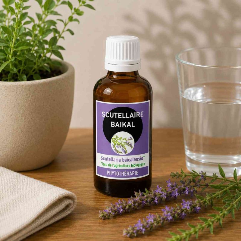 SCUTELLAIRE BAIKAL* 50ML macération de plante AVEC ALCOOL - HUANG QIN  * issu de l'agriculture biologique