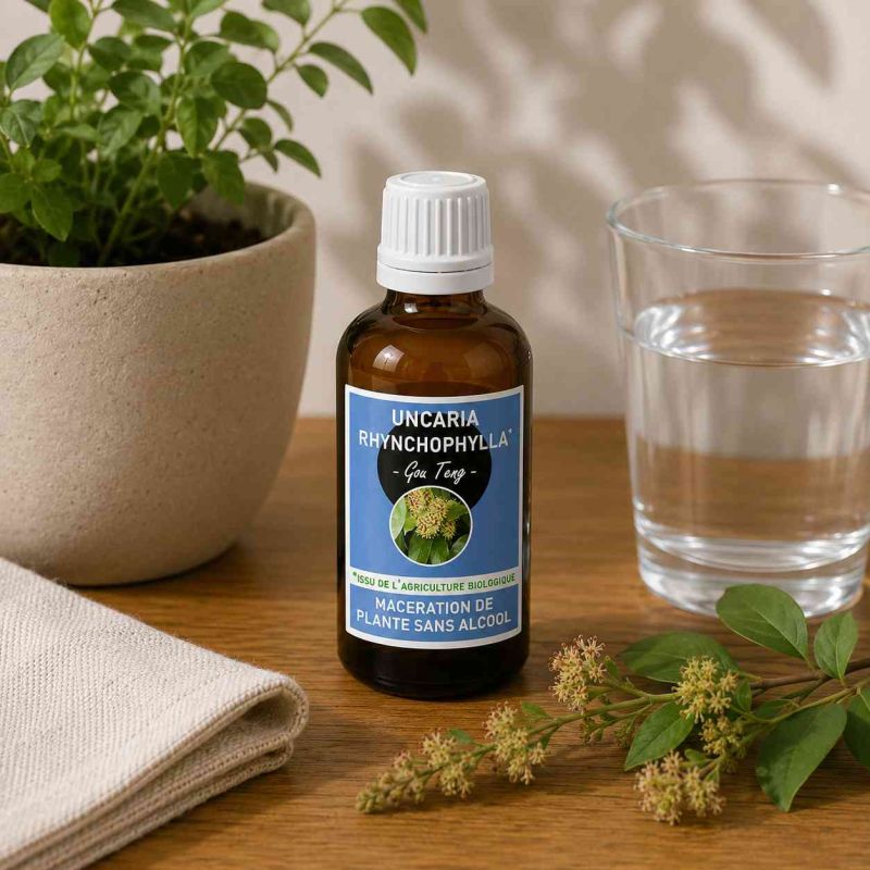 UNCARIA RHYNCHOPHYLLA* 100ml macération de plance SANS ALCOOL  - GOU TENG * Issu de l'agriculture biologique