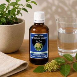 UNCARIA RHYNCHOPHYLLA* 50ml macération de plance SANS ALCOOL  - GOU TENG * Issu de l'agriculture biologique