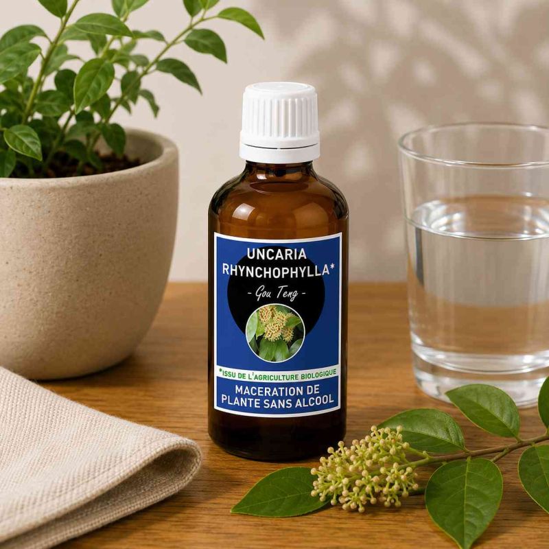 UNCARIA RHYNCHOPHYLLA* 50ml macération de plance SANS ALCOOL  - GOU TENG * Issu de l'agriculture biologique